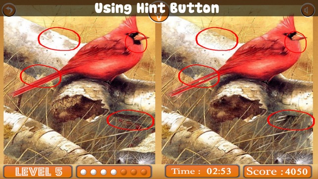 Birds Spot The Differences(圖3)-速報App