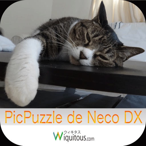 PicpuzzleDeNecoDX Icon