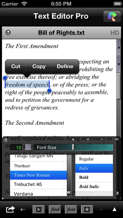 Text Editor Pro