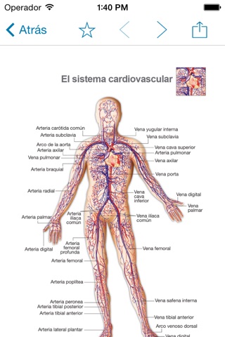 Miniatlas Cardiology screenshot 3