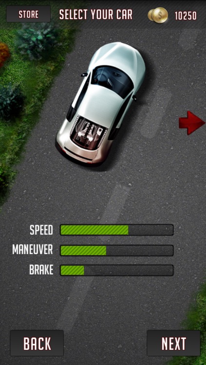 Highway Traffic Car Racing screenshot-3