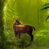Deer HD Wallpaper for iPhone