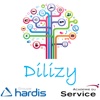 Dilizy