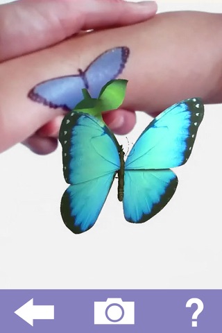 Butterfly Bungalow screenshot 2