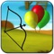 Balloon Bow & Arrow