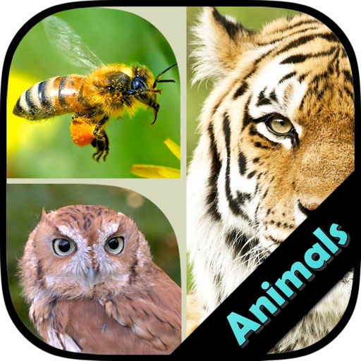 Guess The Animal : Family Puzzle Game iOS App