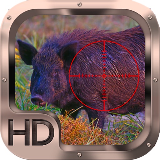 Wild Pig Hunting Icon