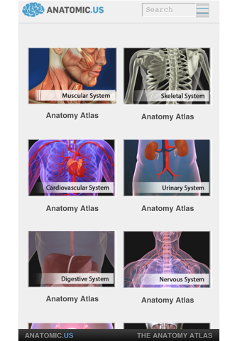 Anatomy Atlas Free screenshot 2