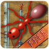 Ant colony Kingdom - Bang the ants house & infest the place with insects - Free Edition