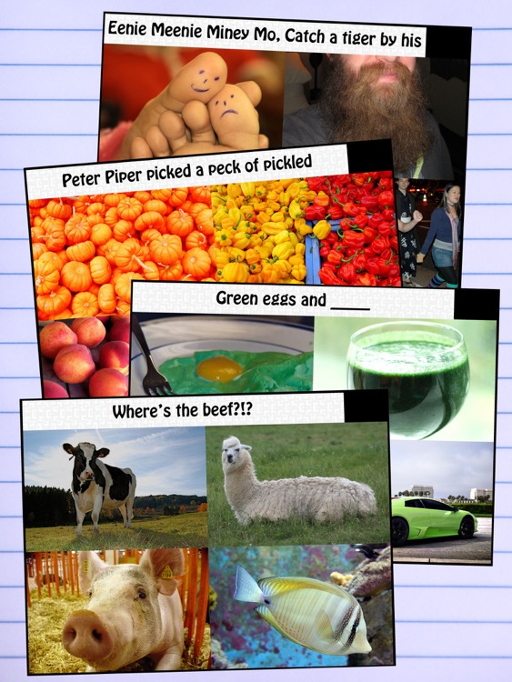 The DumDumb Exam HD Free