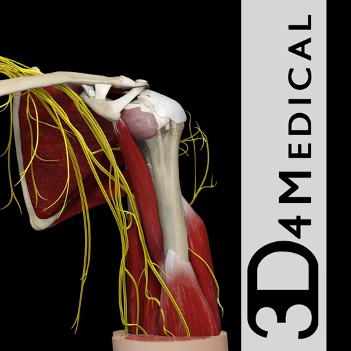 Shoulder Pro III with Animations - iPhone Edition