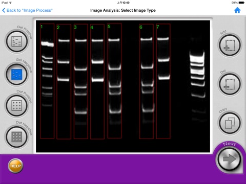 omniDOC Gel Documentation System screenshot 2