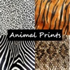 Skin My Phone - Animal Print Wallpapers For iPad