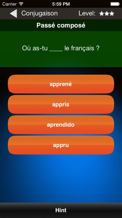 French Conjugation screenshot-3