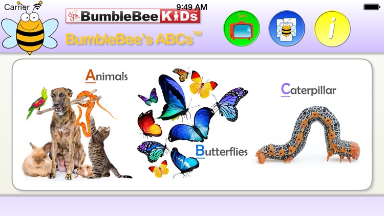 BumbleBee ABCs™ - Phonics, Flashcards & Video