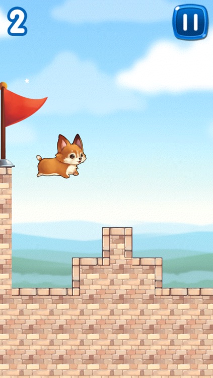 Corgi Jump