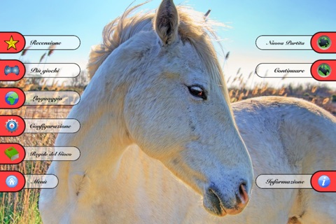 Ludo - Horse Racing screenshot 2