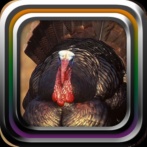 Turkey Hunter: Dark Forest Edition icon