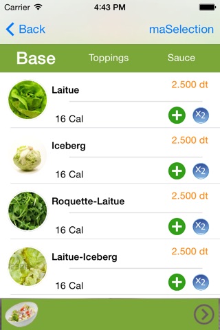 LVSalad screenshot 2