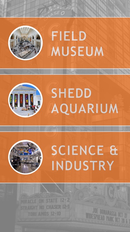 Chicago Museums