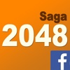 2048 Saga.