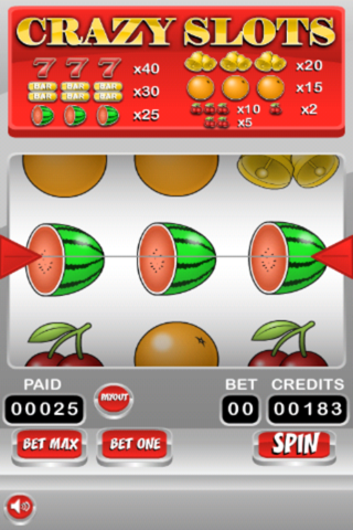 Party Crazy Slots FREE - Spin the Lucky Casino Wheel to Win screenshot 3