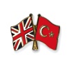 English/Turkish Verbs Test