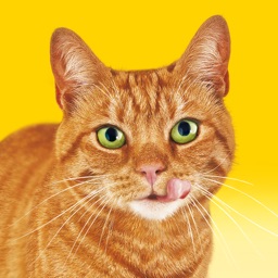 Friskies® Call Your Cat