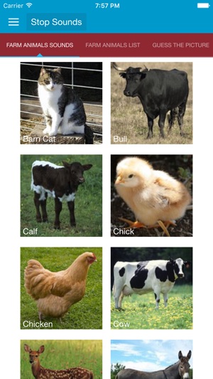 Farm Animal Sounds and Information Free