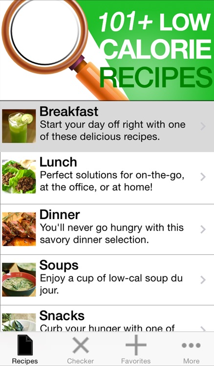 101+ Low Calorie Recipes