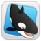 Killer Whale - Enter Orca's Trail Paradise
