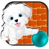 A Petit Pup Yorkie - Yorkshire Terrier Game – Free version