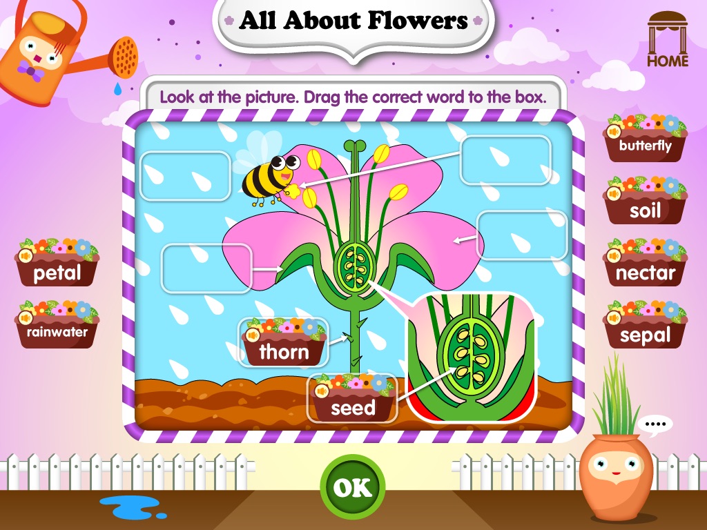 Vocabulary Builder 10 screenshot 3