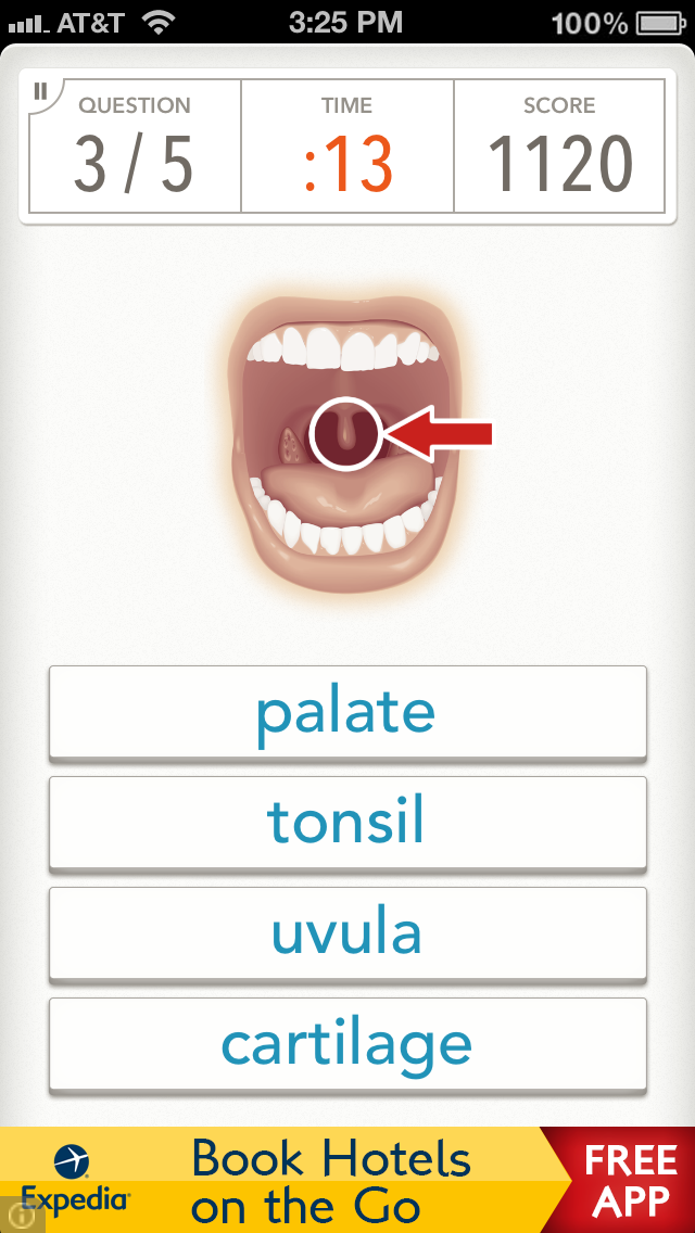 Quizzitive – A Merria... screenshot1