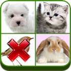 Top 49 Games Apps Like Guess the Wrong Pic in 4 Pics - Best Alternatives