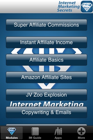 Internet Marketing Income PRO - Super Affiliate Millionaire Secrets screenshot 2