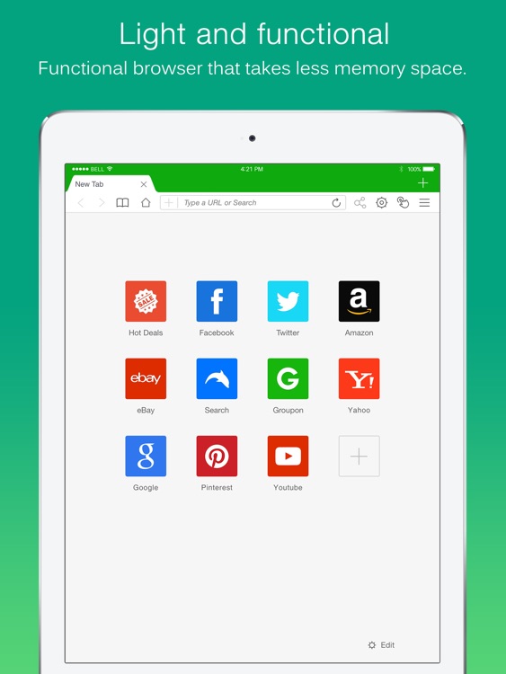 Dolphin Web Browser for iPad
