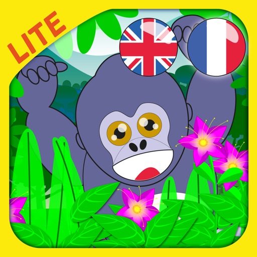 SOS Animal: The Mountain Gorilla Pocket - EcoloRigolo
