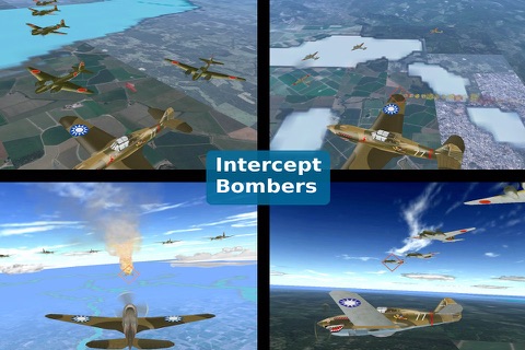 Combat Birds-AVG Flying Tigers screenshot 3
