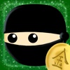 Ninja Catch HD