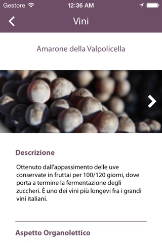 Valpolicella Wines screenshot 4