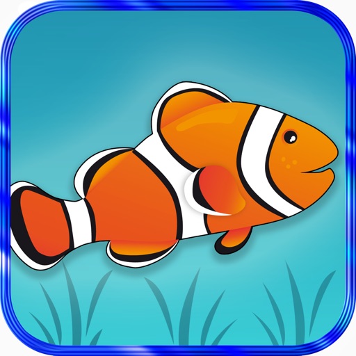 Swimmy Clownfish