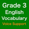 Grade 3 Students English Vocabulary Pronunciation