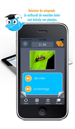 Learn Spanish and Dutch Vocabulary: Memo