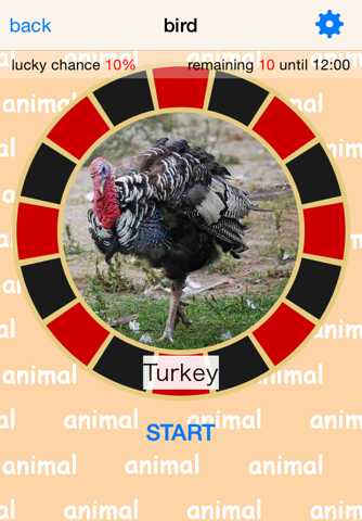 Are you lucky? Animal Spinner screenshot 3