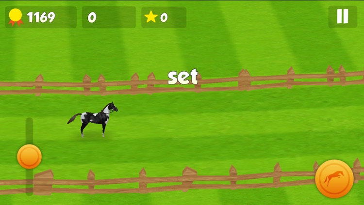 Horse Derby Race Training