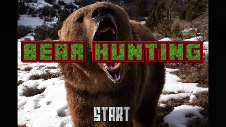 Bear Hunting