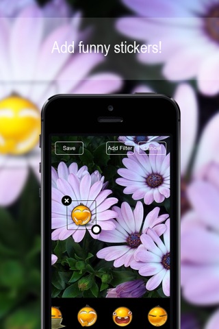 Customizable Flower Wallpapers HD Free ! screenshot 4