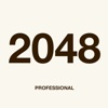 2048 Professional