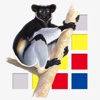 Lemurs of Madagascar and the Comoros